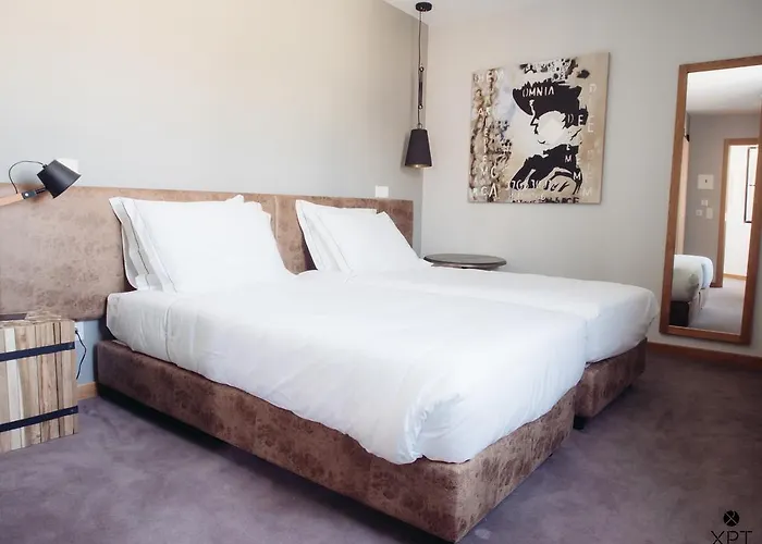 Xpt - Local بيت ضيافة